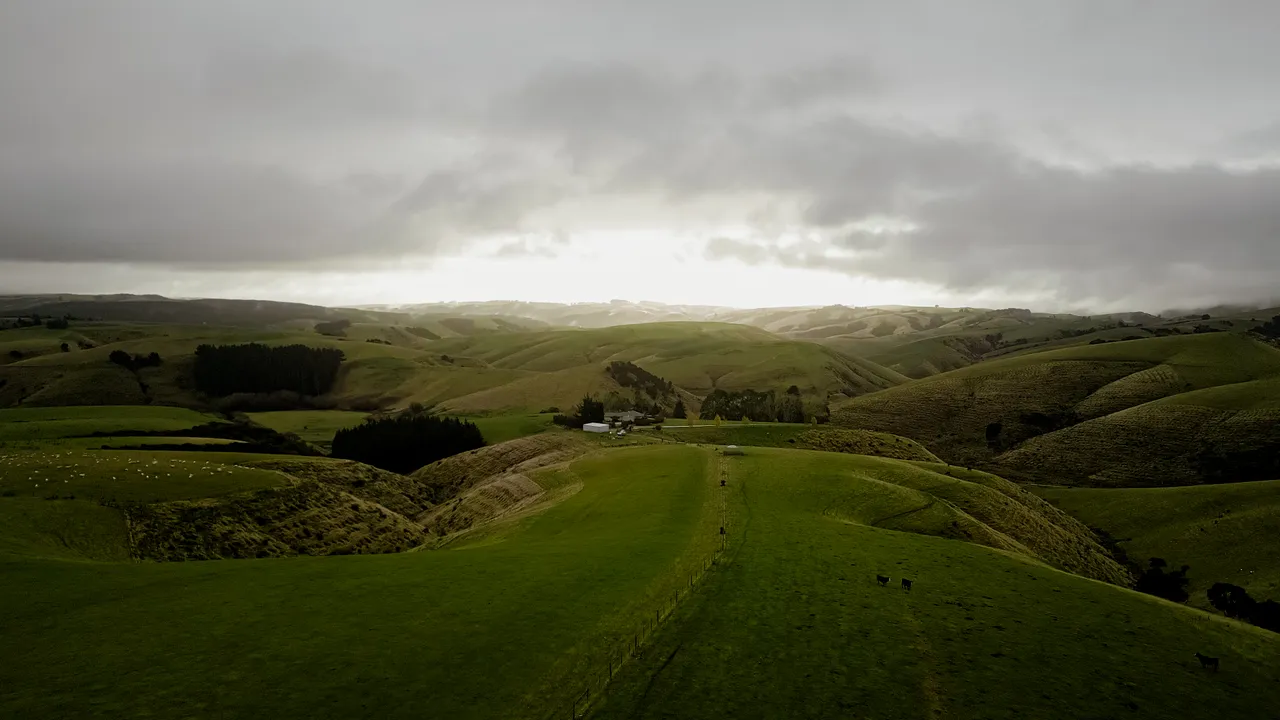 0624-Clutha-Sarahs-Farm-55