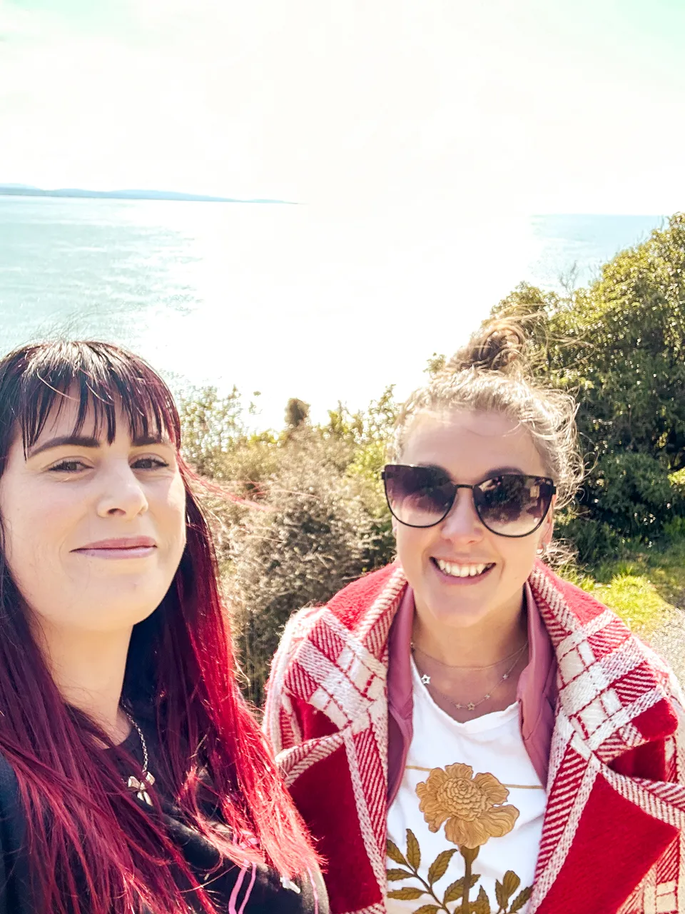 0924-Nugget-Point-13