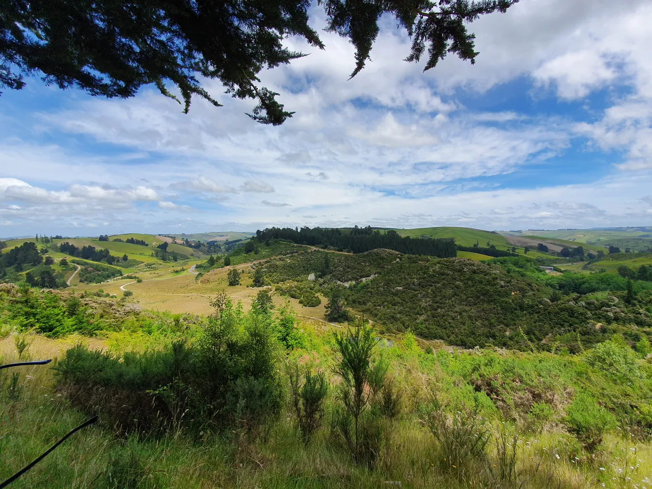 Gabriels Gully, Lawrence #4