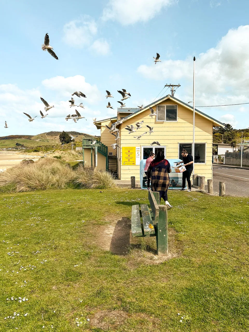 0924-Clutha-Kaka-Point-29