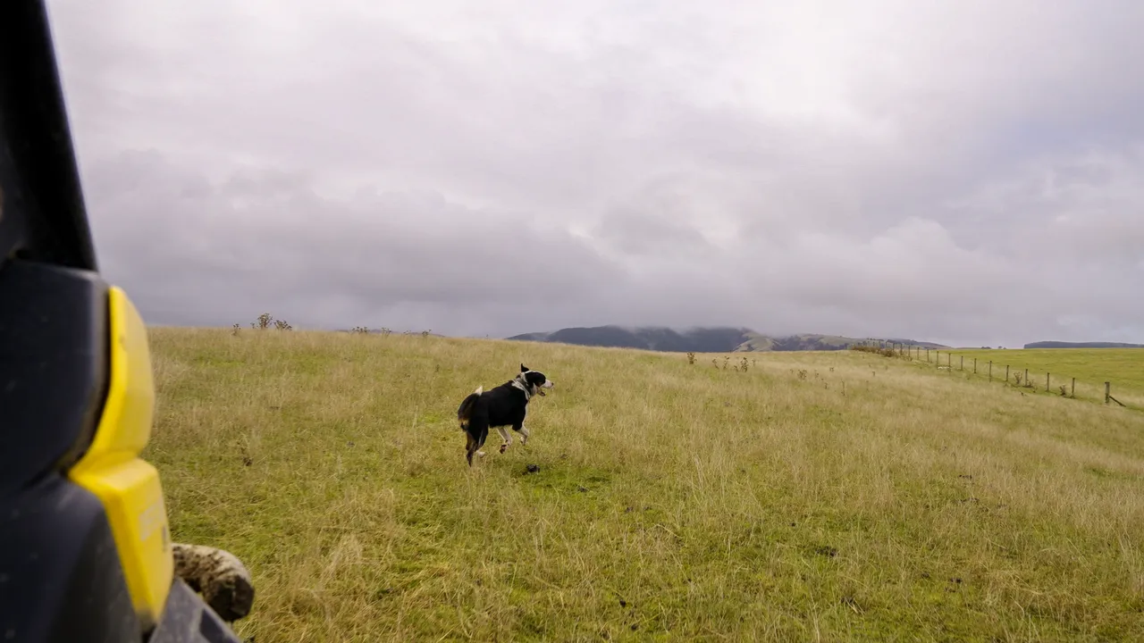 0624-Clutha-Sarahs-Farm-50