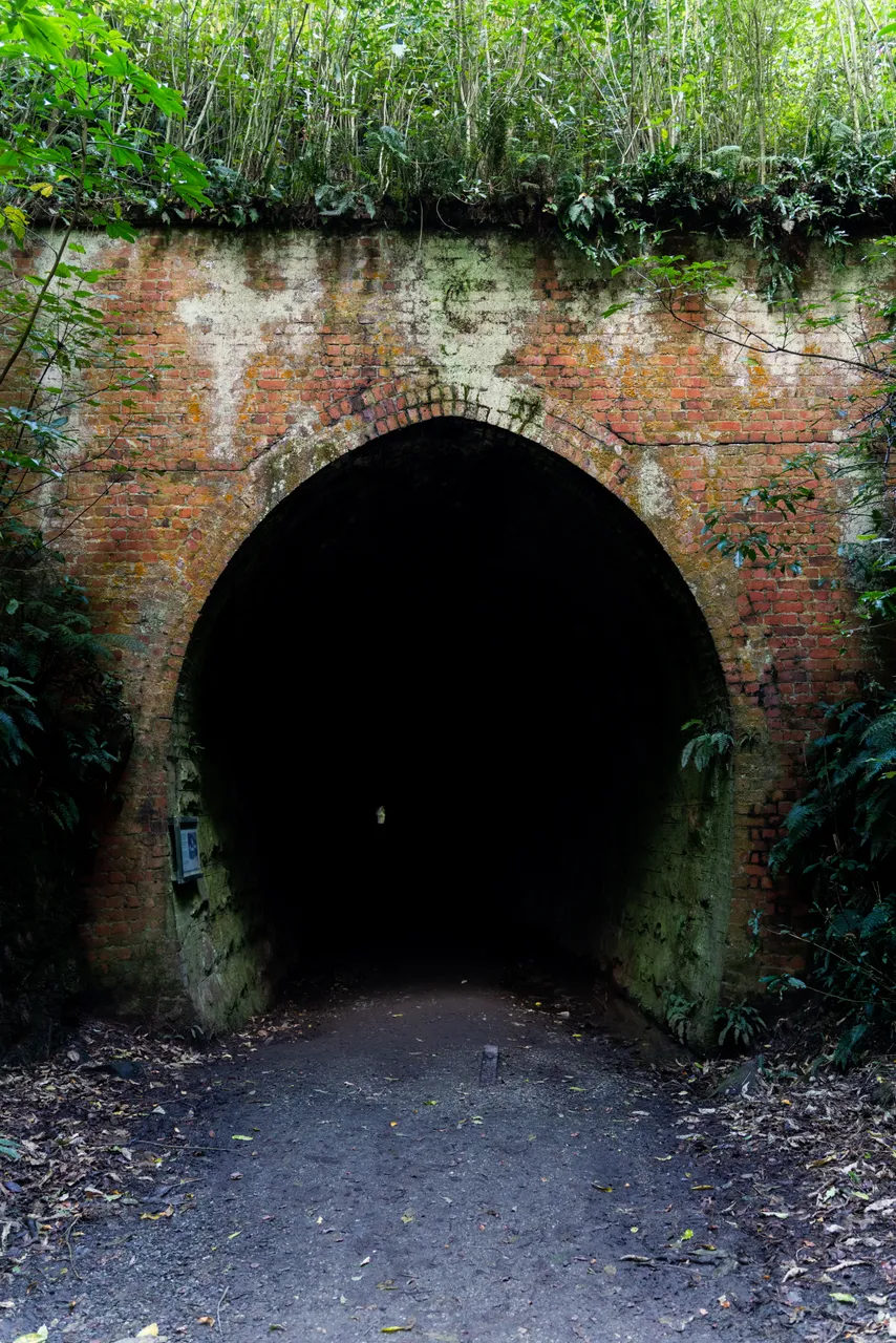 Track going into tunnel