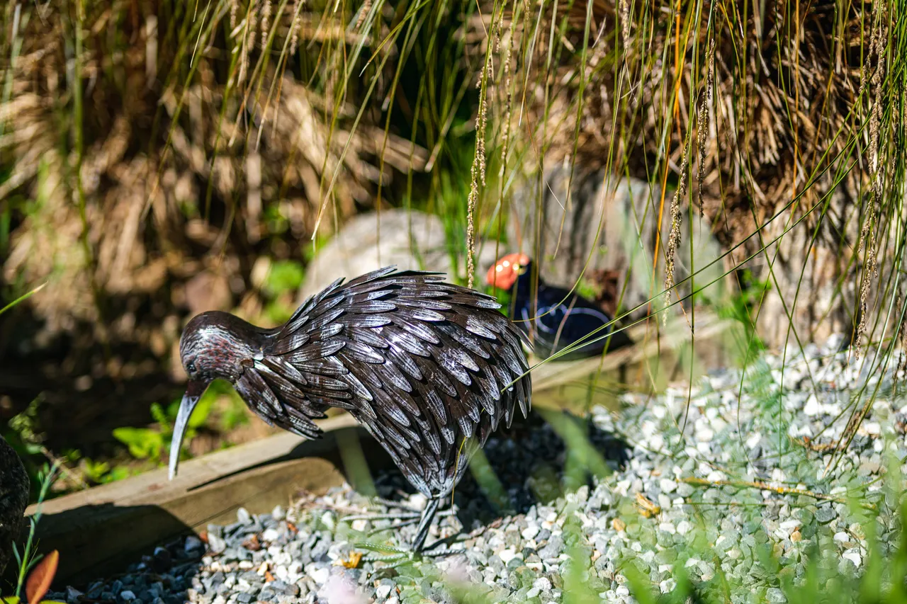 Kiwi sculpture in garden