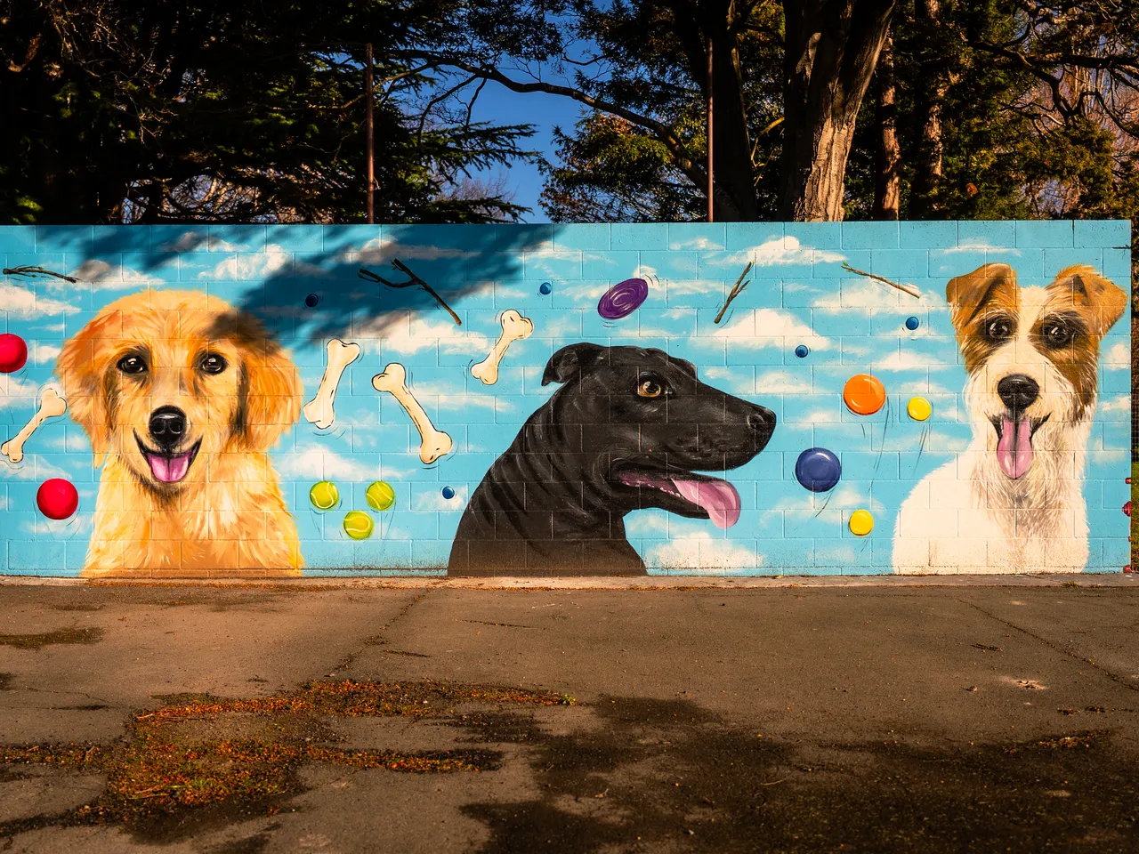 0825-Clutha-Alice-Murals-68