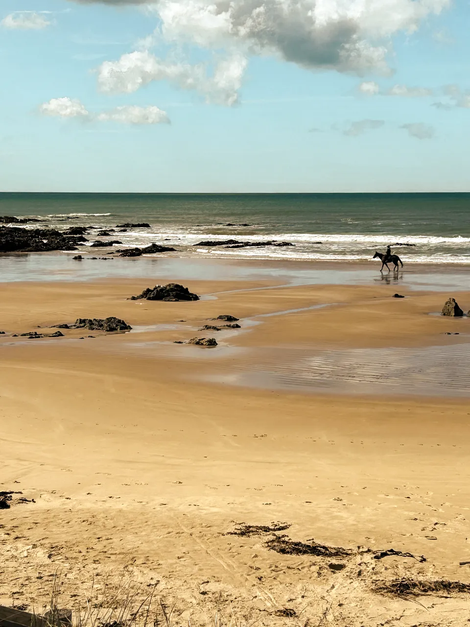 0924-Clutha-Kaka-Point-26
