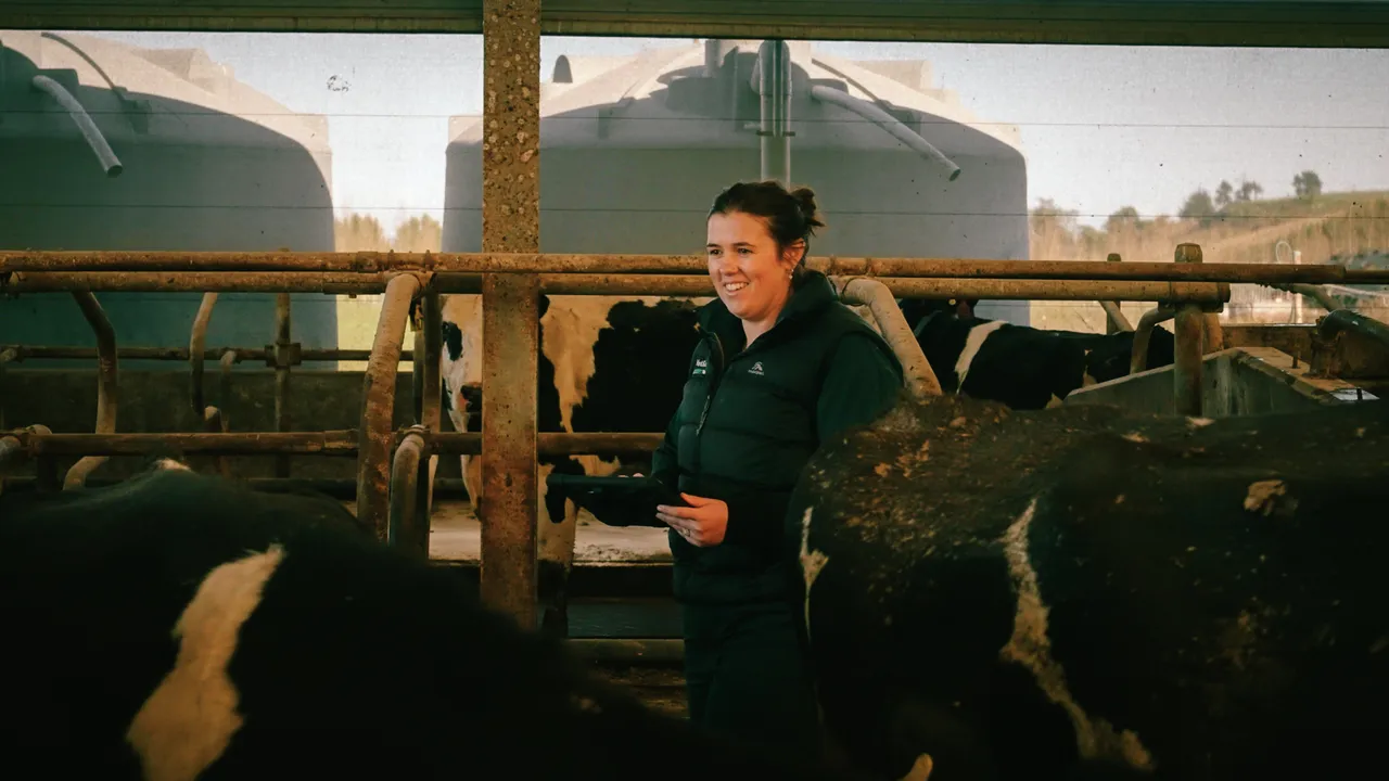 0825-Clutha-VetSouth-098