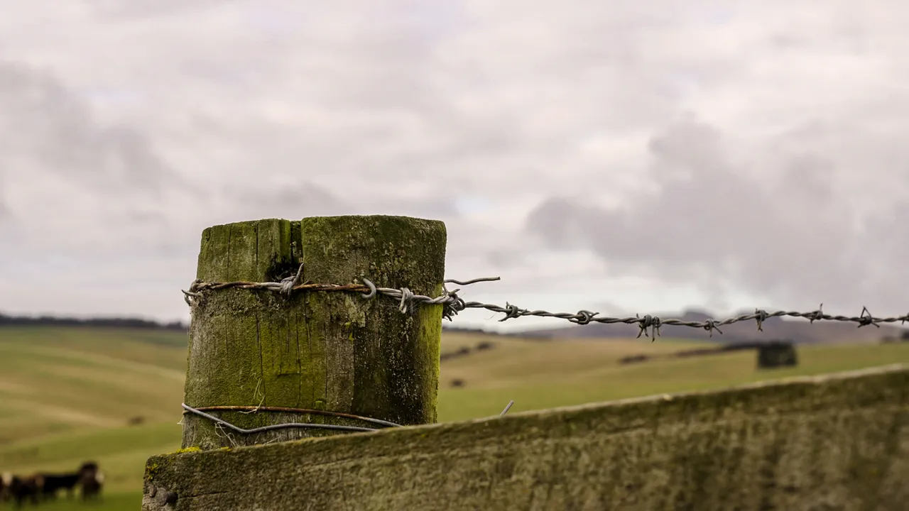 0624-Clutha-Sarahs-Farm-27
