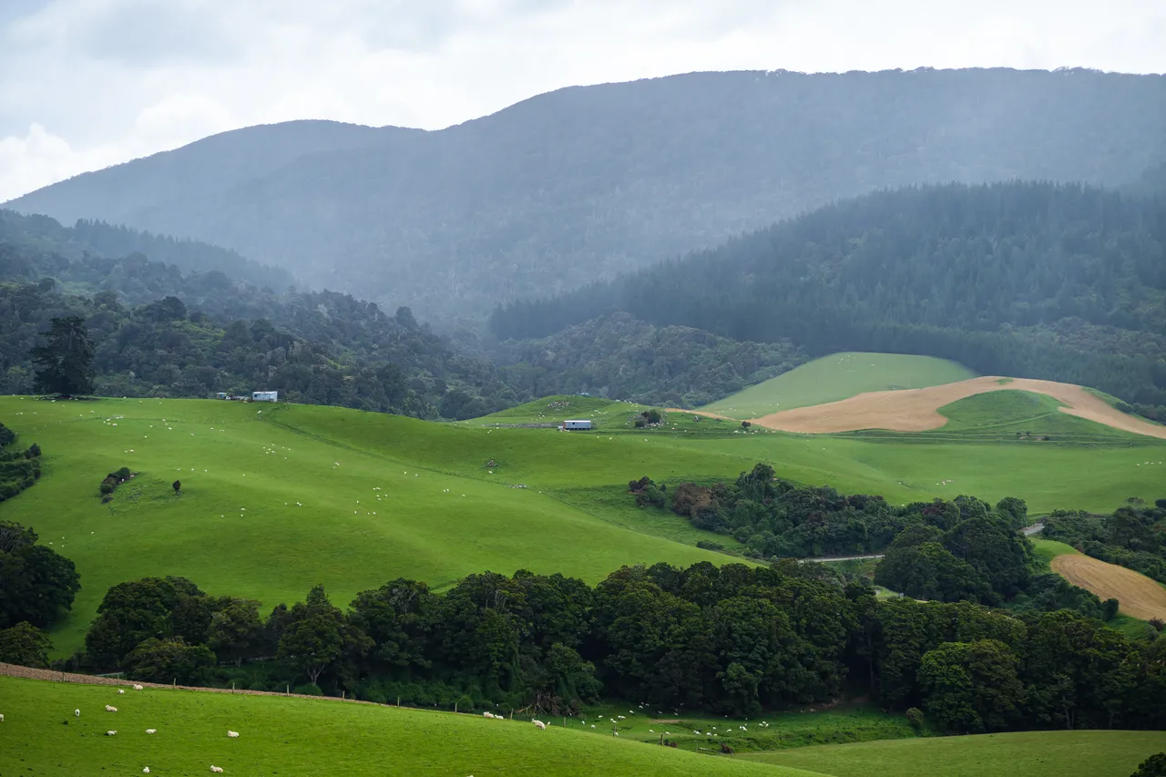 View of farmland and forestry