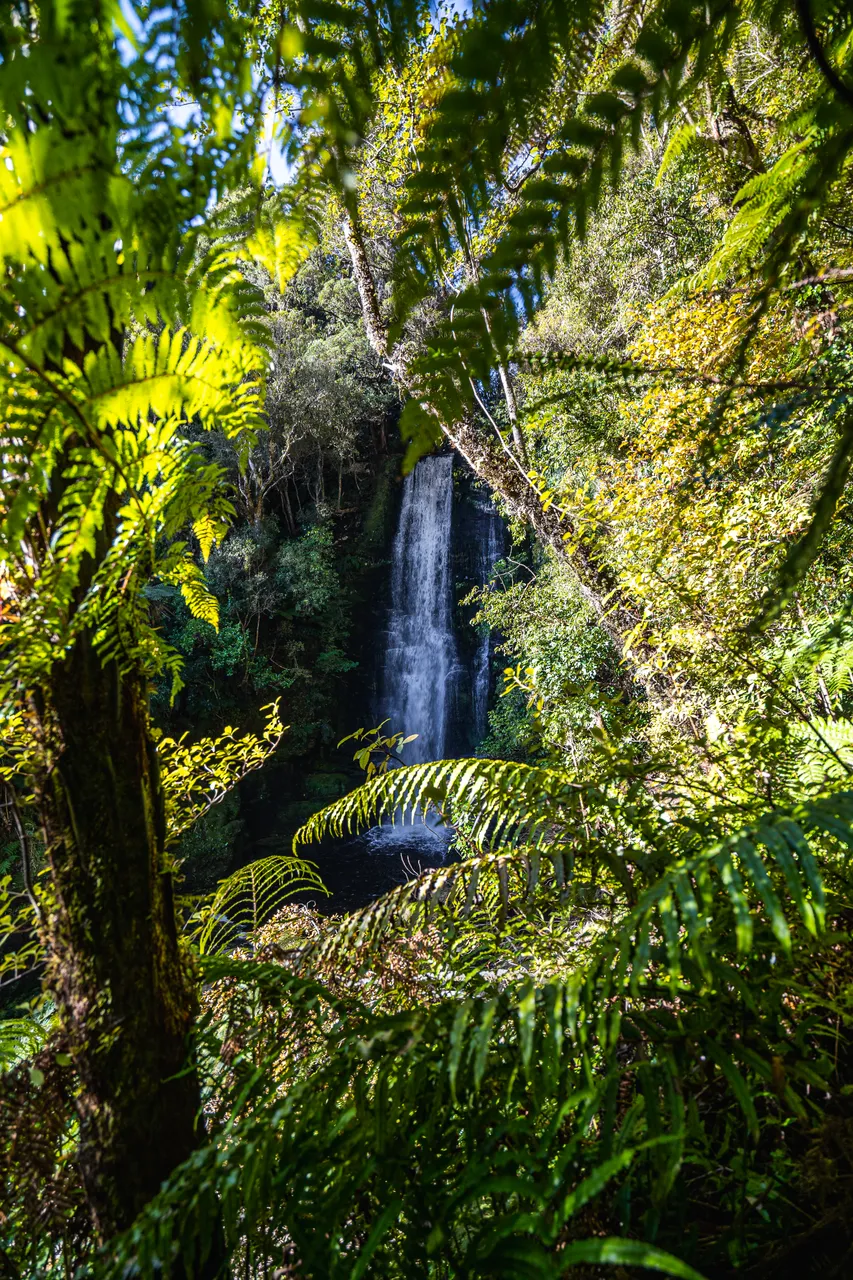 Waterfall in the bush