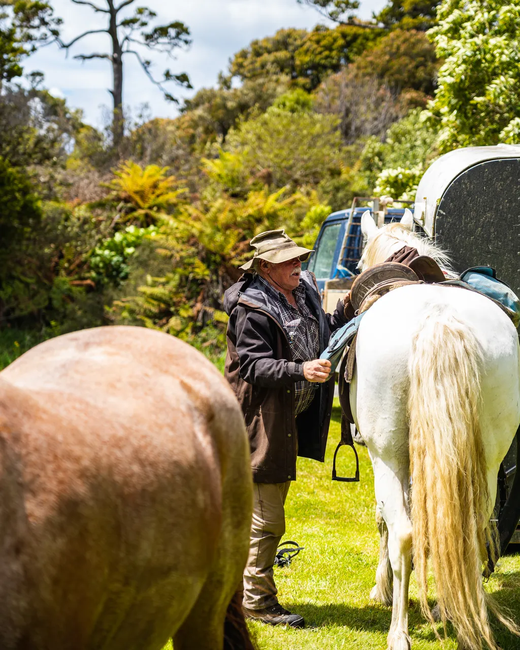 Man with horses