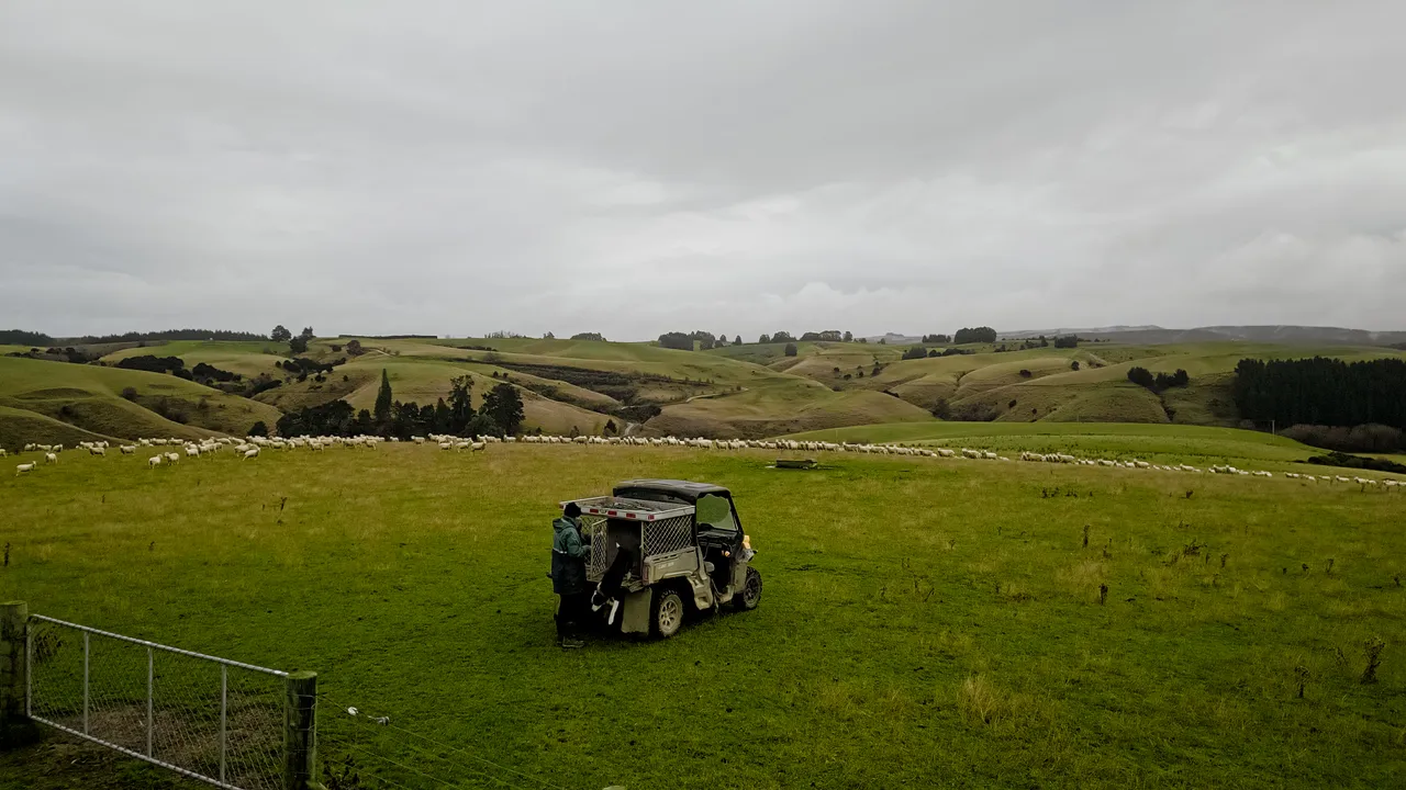 0624-Clutha-Sarahs-Farm-75