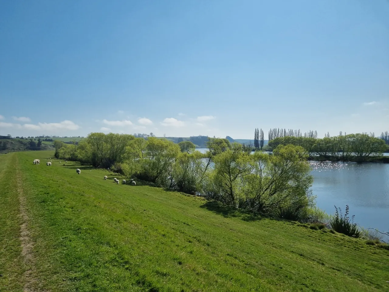 Blair Athol Walkway (4)