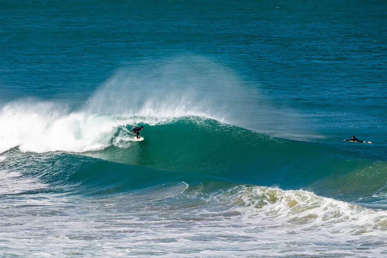 Sea and surfer