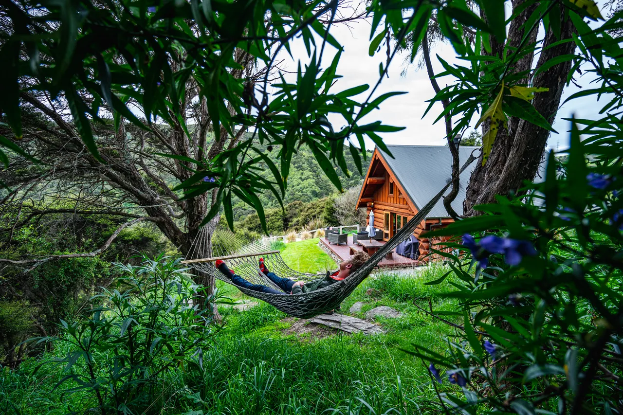 View of log cabin and person in hammock