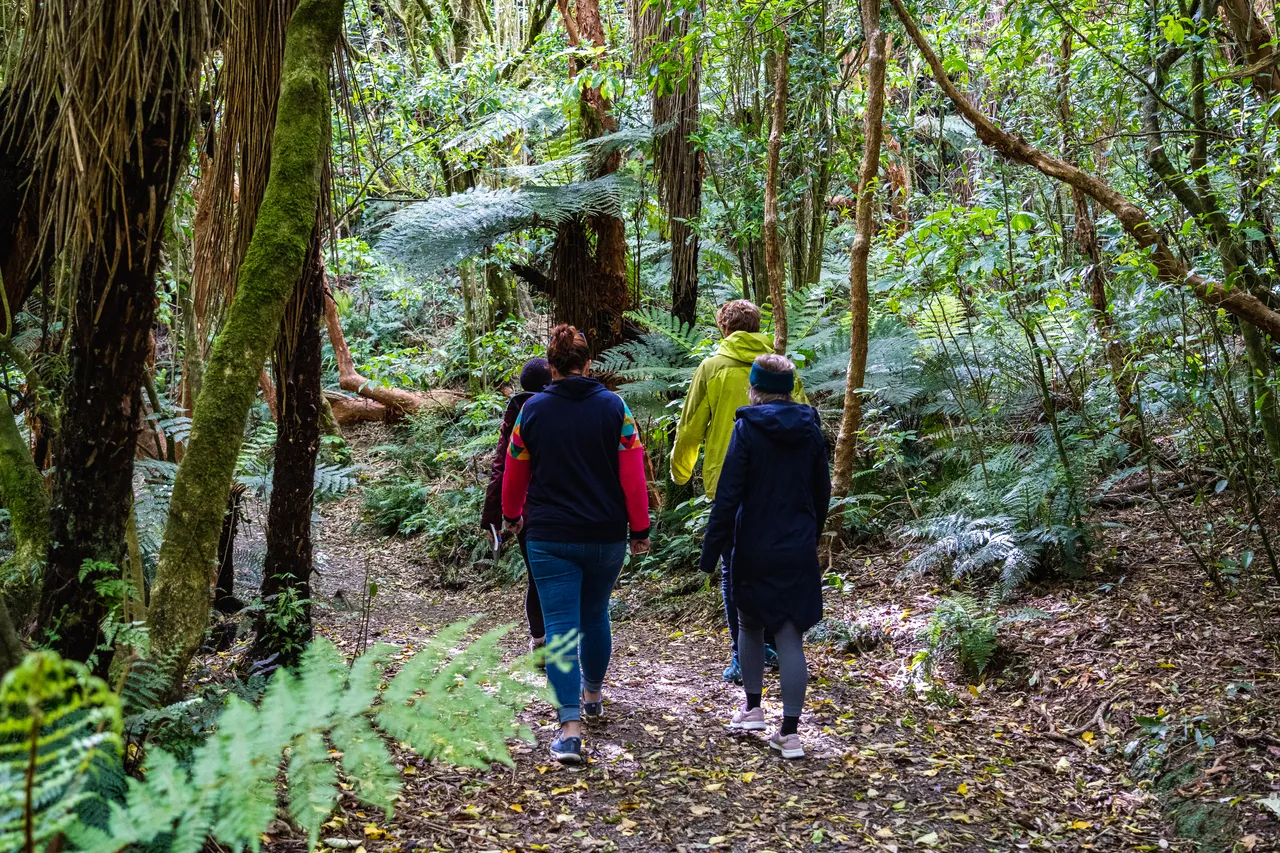 People walking in the bush
