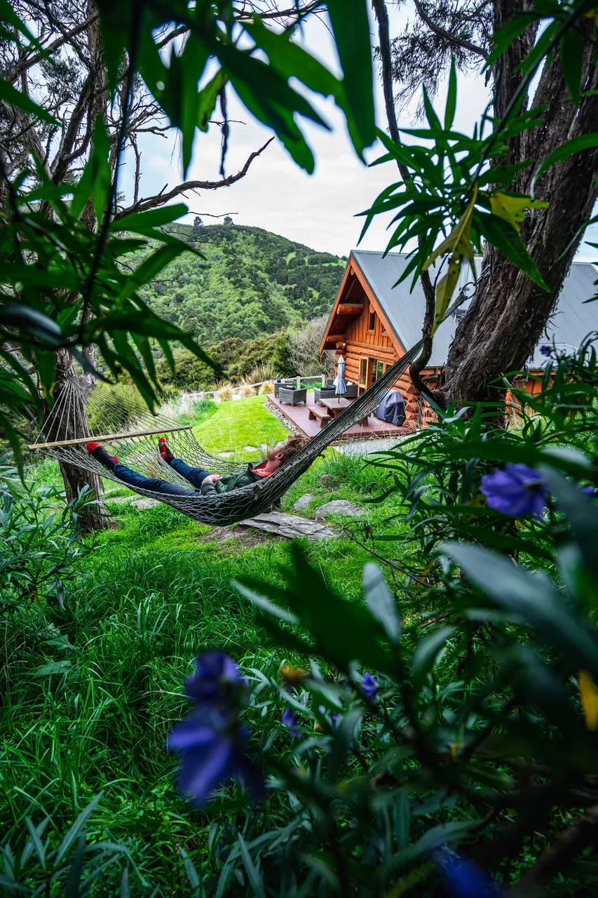 View of log cabin and person in hammock