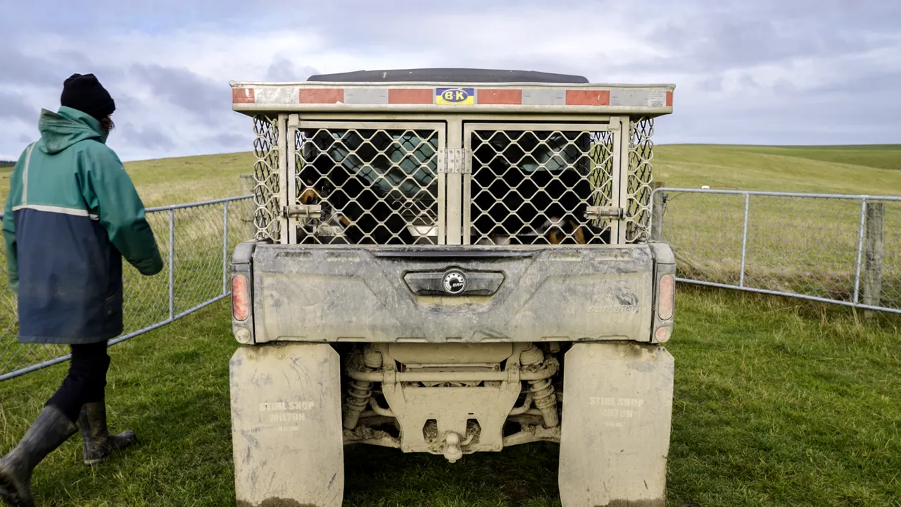 0624-Clutha-Sarahs-Farm-07