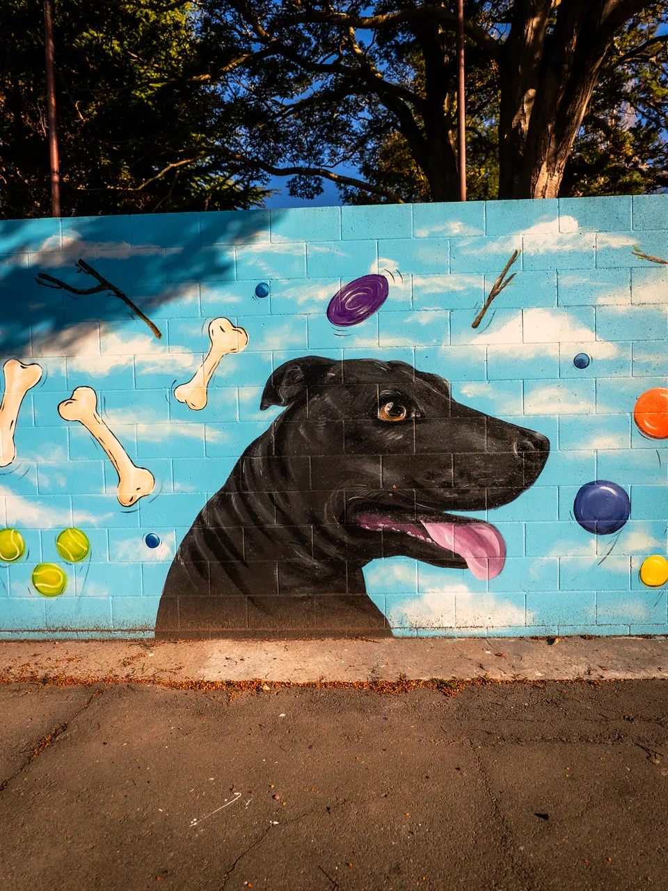 0825-Clutha-Alice-Murals-67