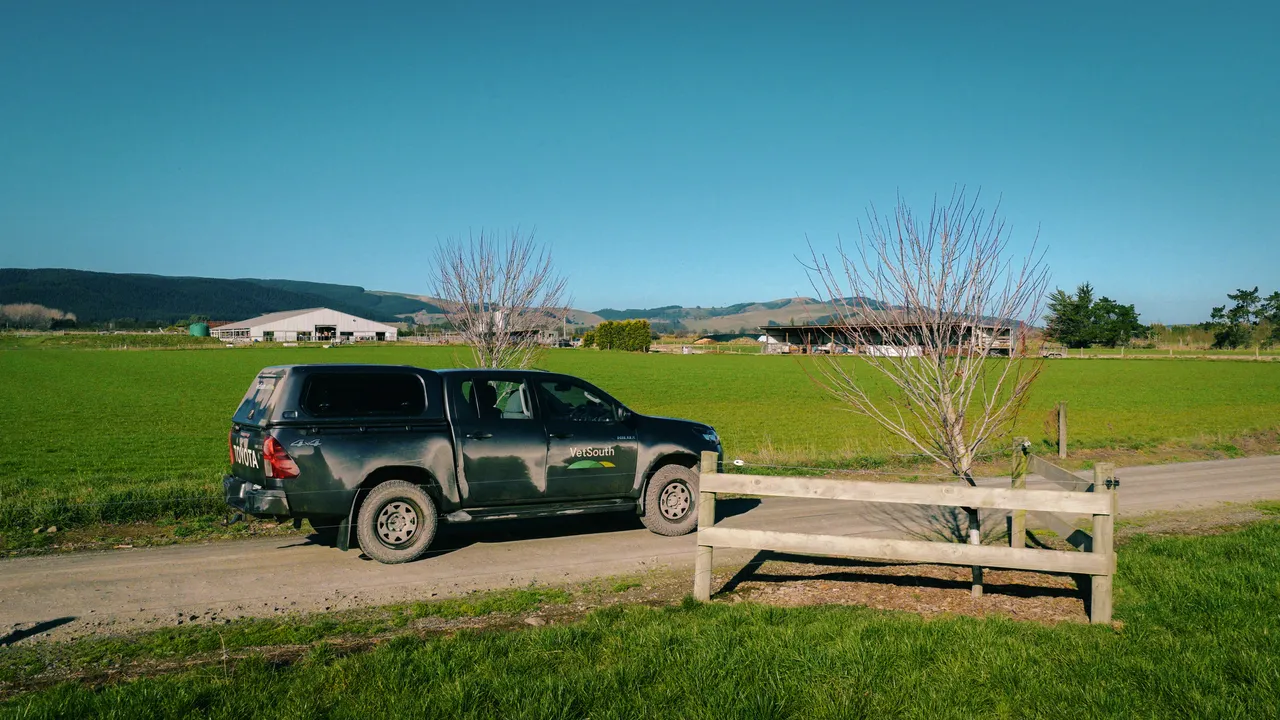 0825-Clutha-VetSouth-041