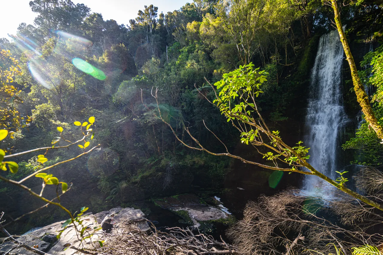 Waterfall in the bush