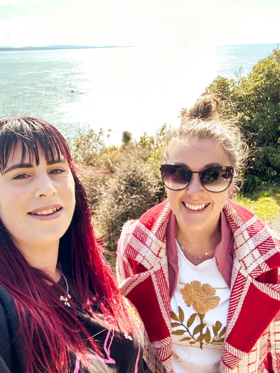 0924-Nugget-Point-14