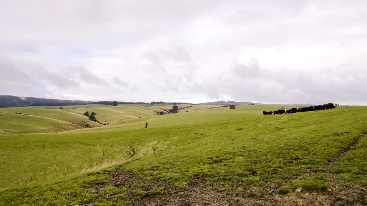 0624-Clutha-Sarahs-Farm-30