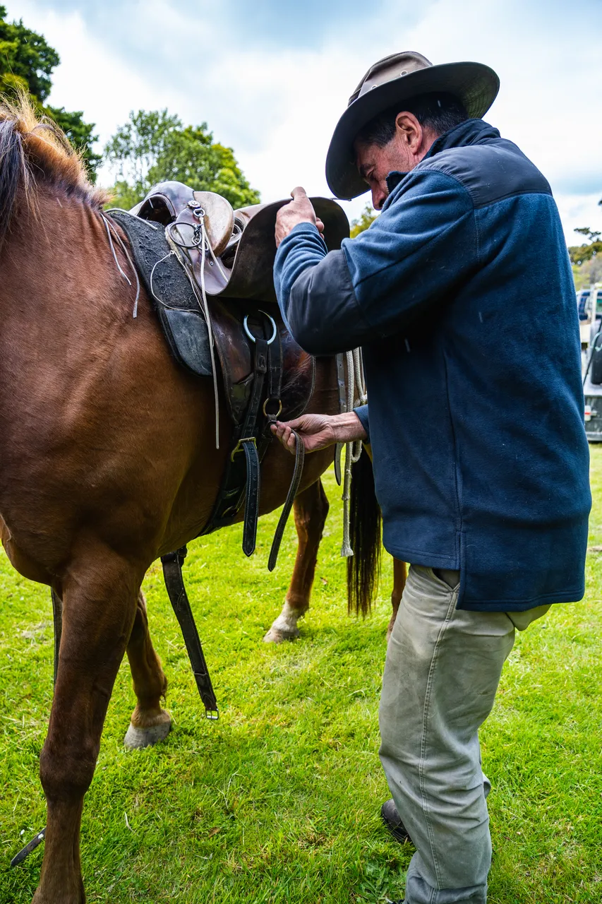 Man with horse on grass