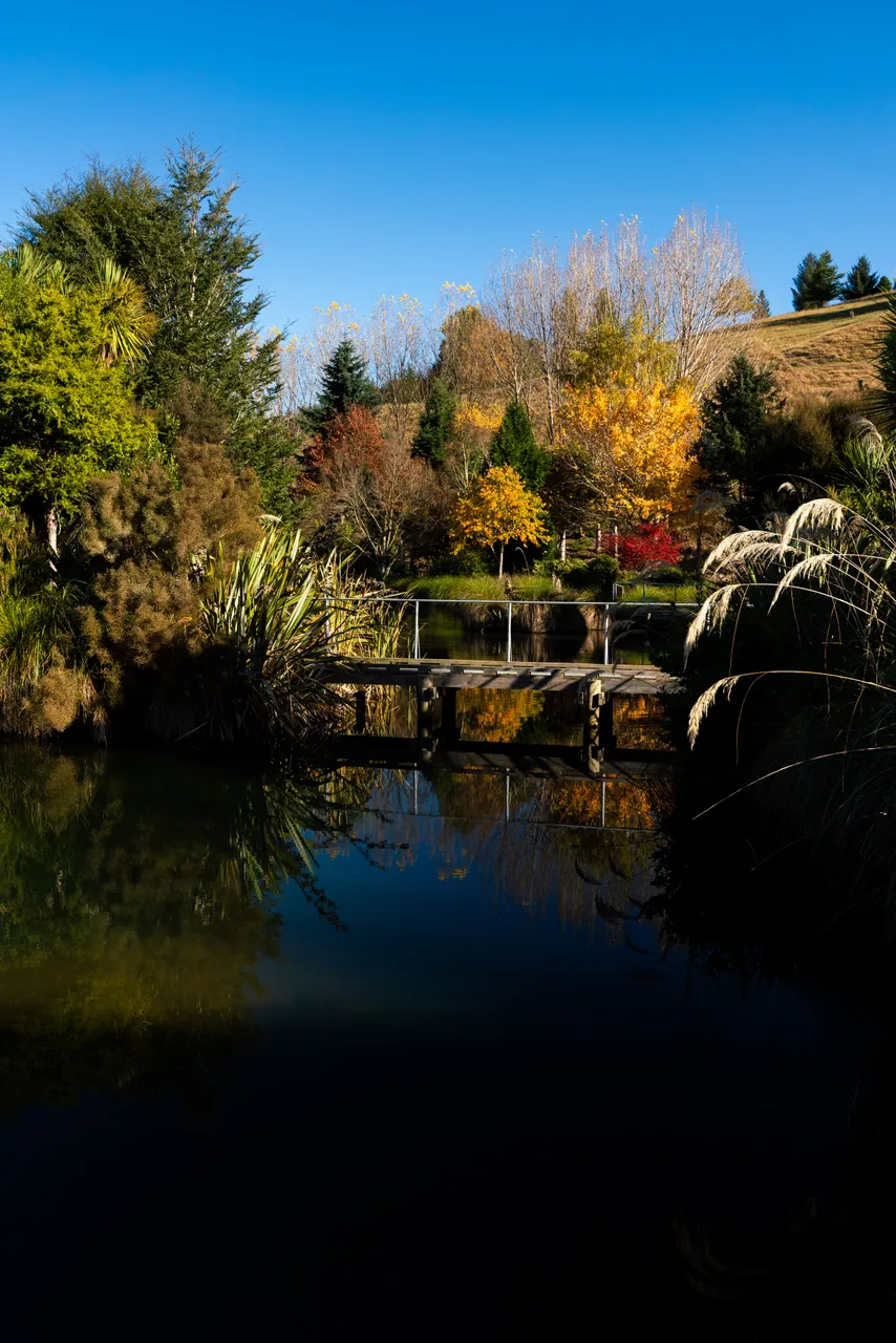 Pond and trees and bridge