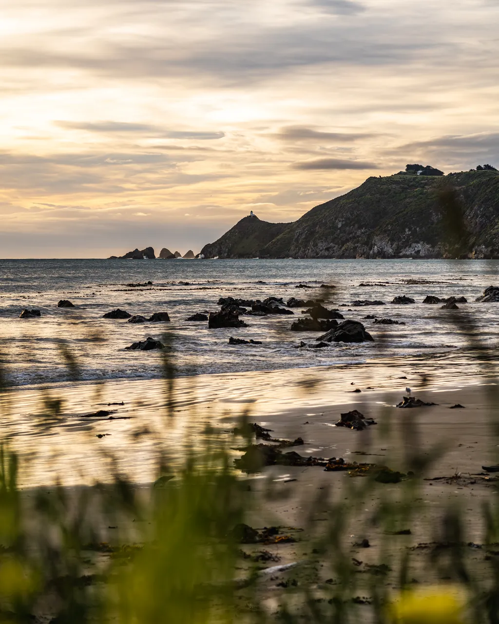 Grass and the sea