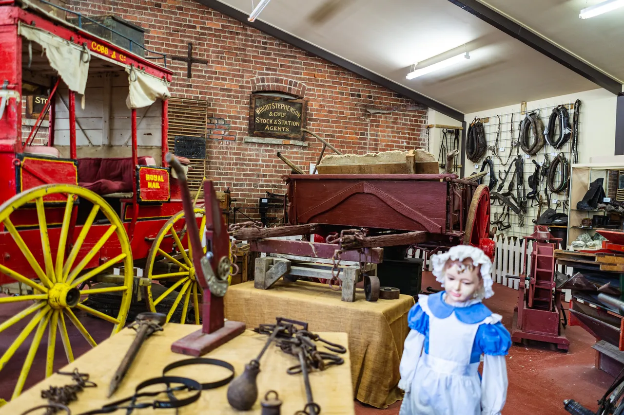 Museum display