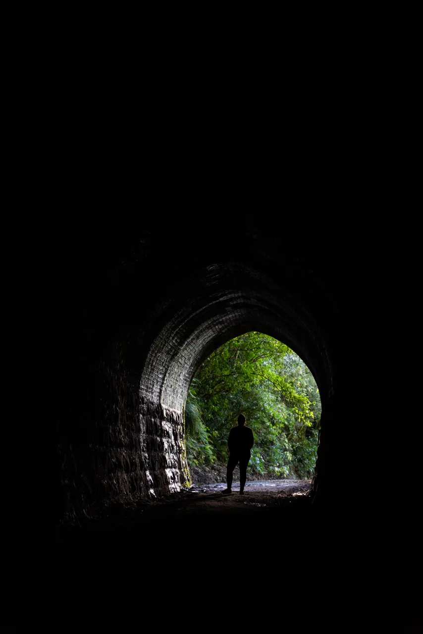 Trees outside tunnel