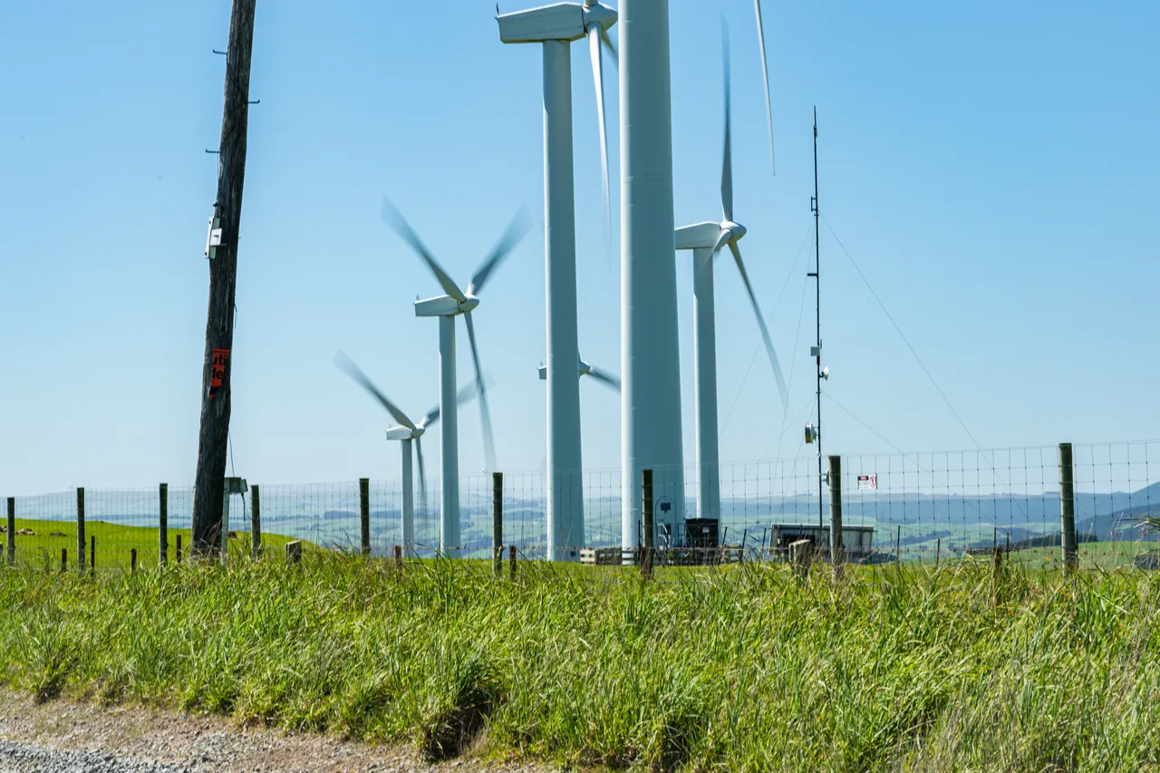 Wind turbines and grass