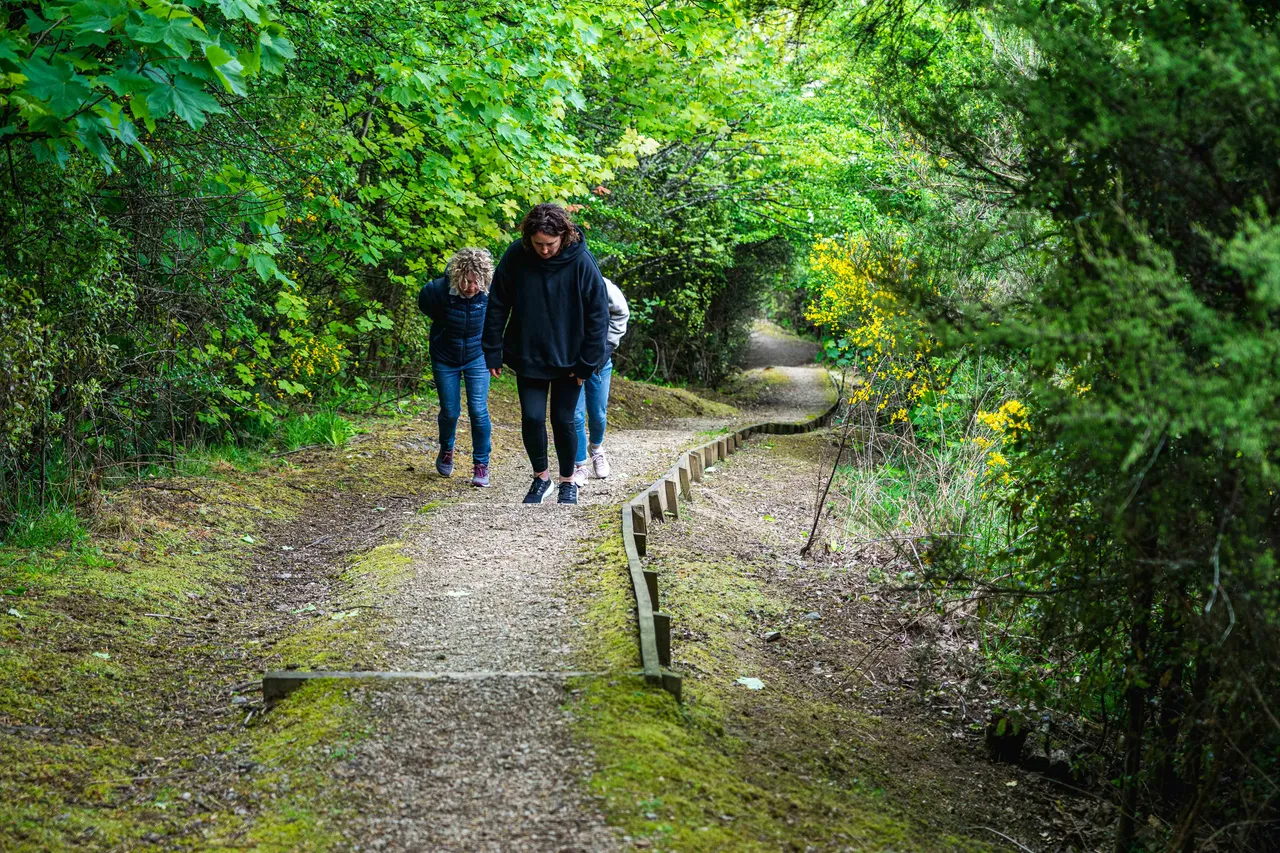 People walking in the bush