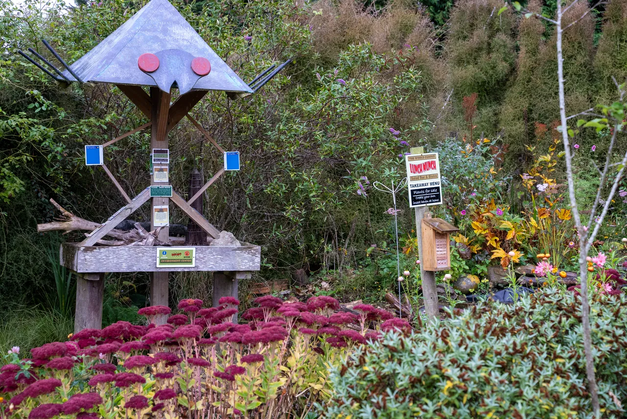 Garden and bug houses