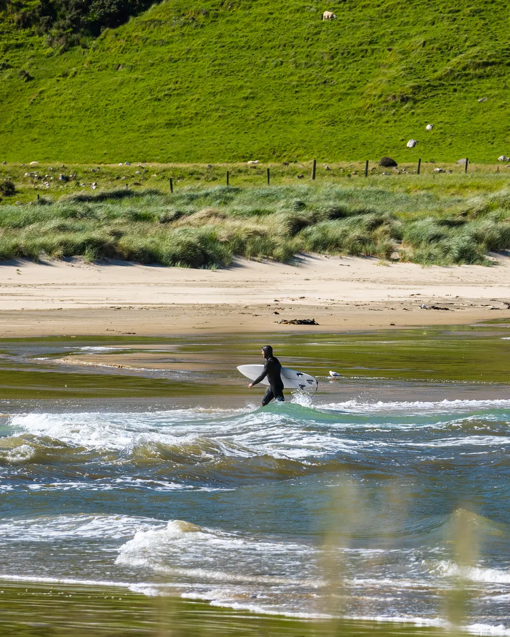 Surfer in the sea