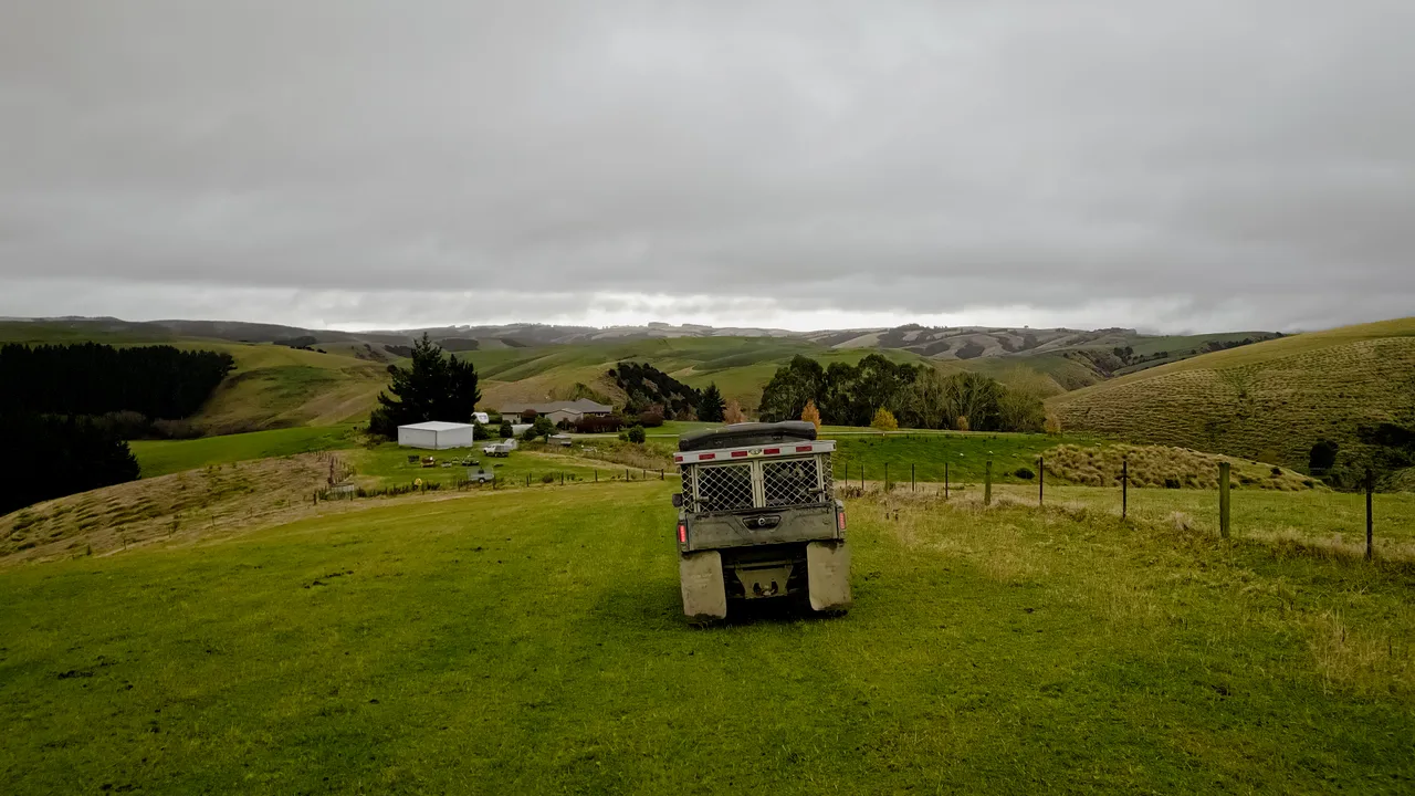 0624-Clutha-Sarahs-Farm-70