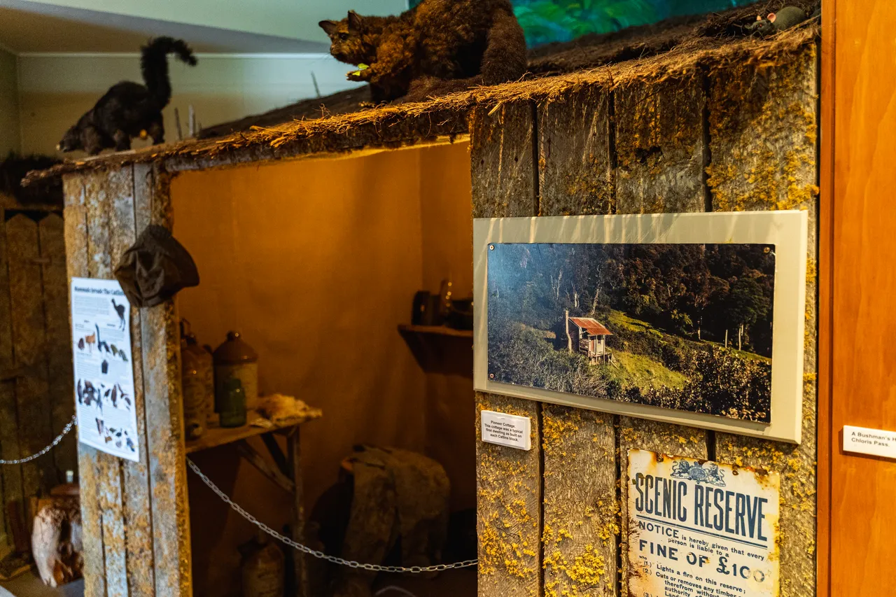 Museum display