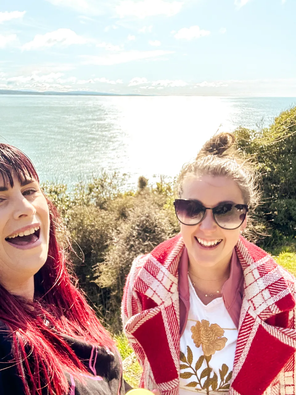 0924-Nugget-Point-15