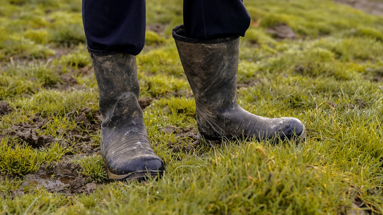 0624-Clutha-Sarahs-Farm-23