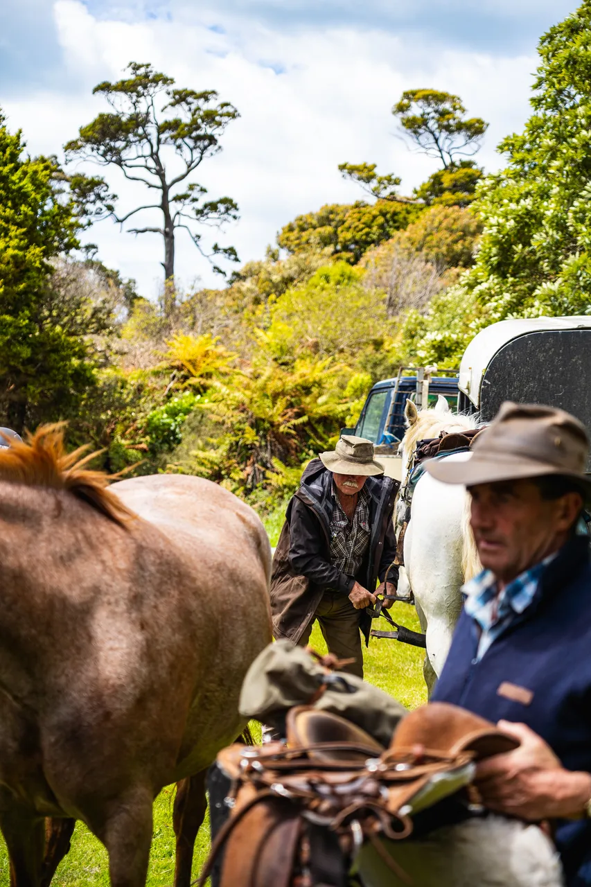 People with horsesstanding on grass