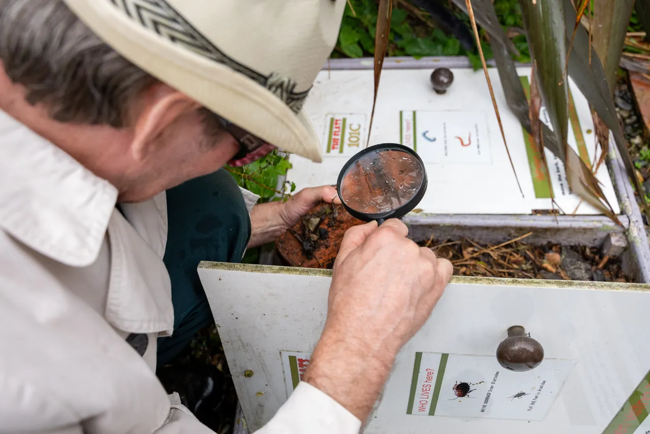 Magnifying glass and bug house