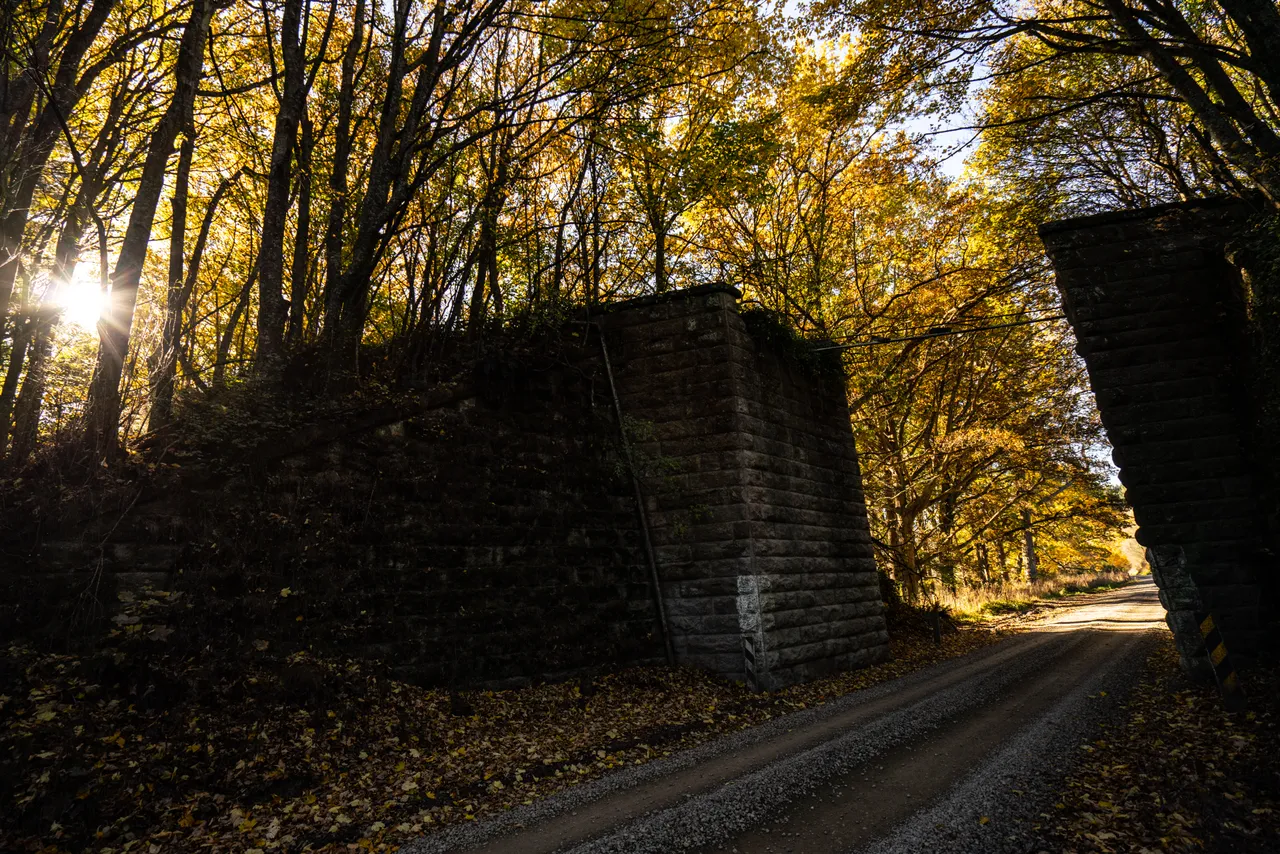 Road and stone wall