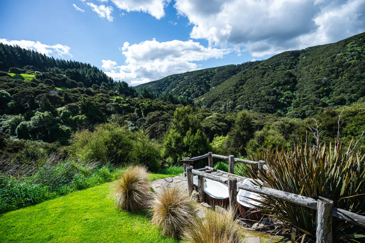 View of bush and forests