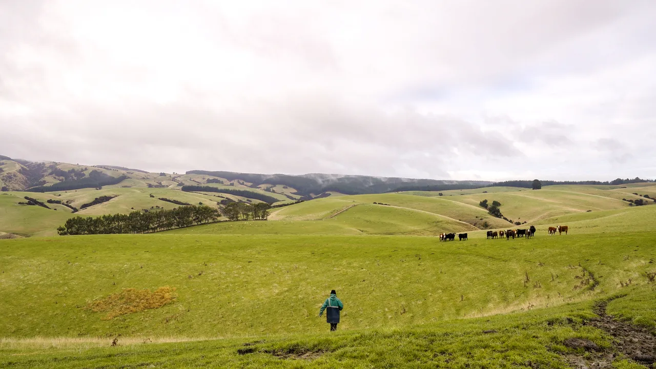 0624-Clutha-Sarahs-Farm-29