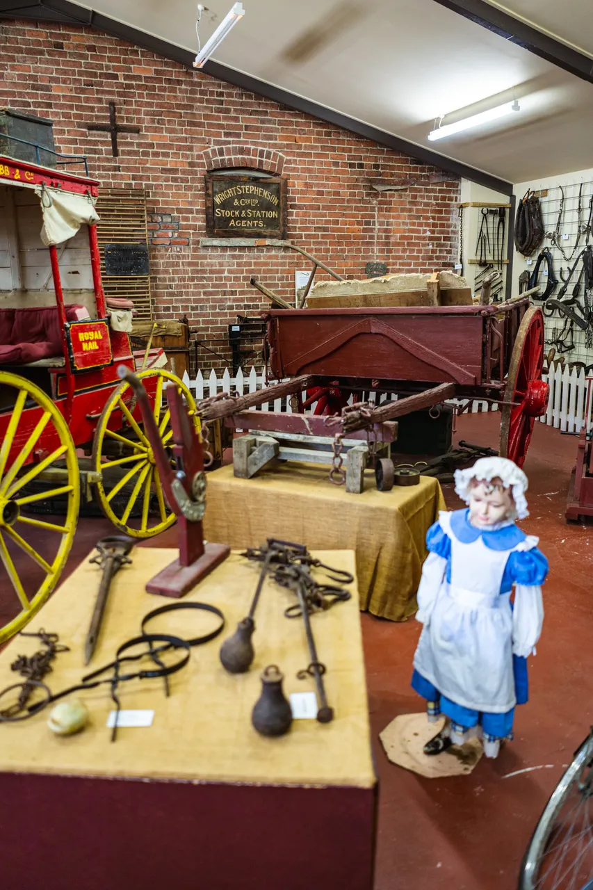 Museum display
