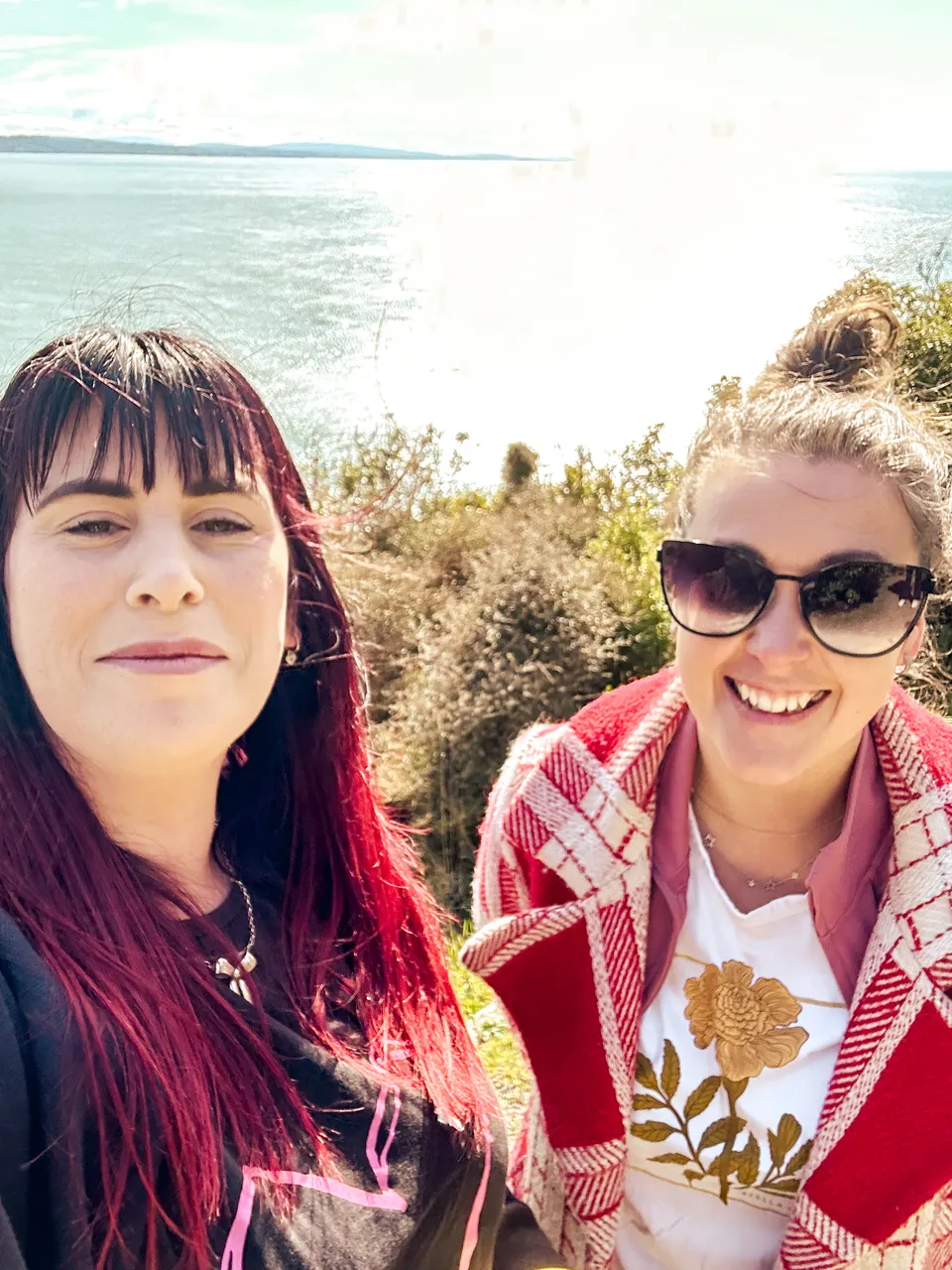 0924-Nugget-Point-16