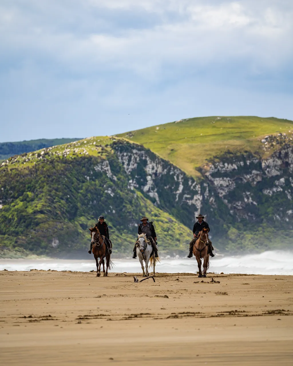 Horses on the beach by the sea