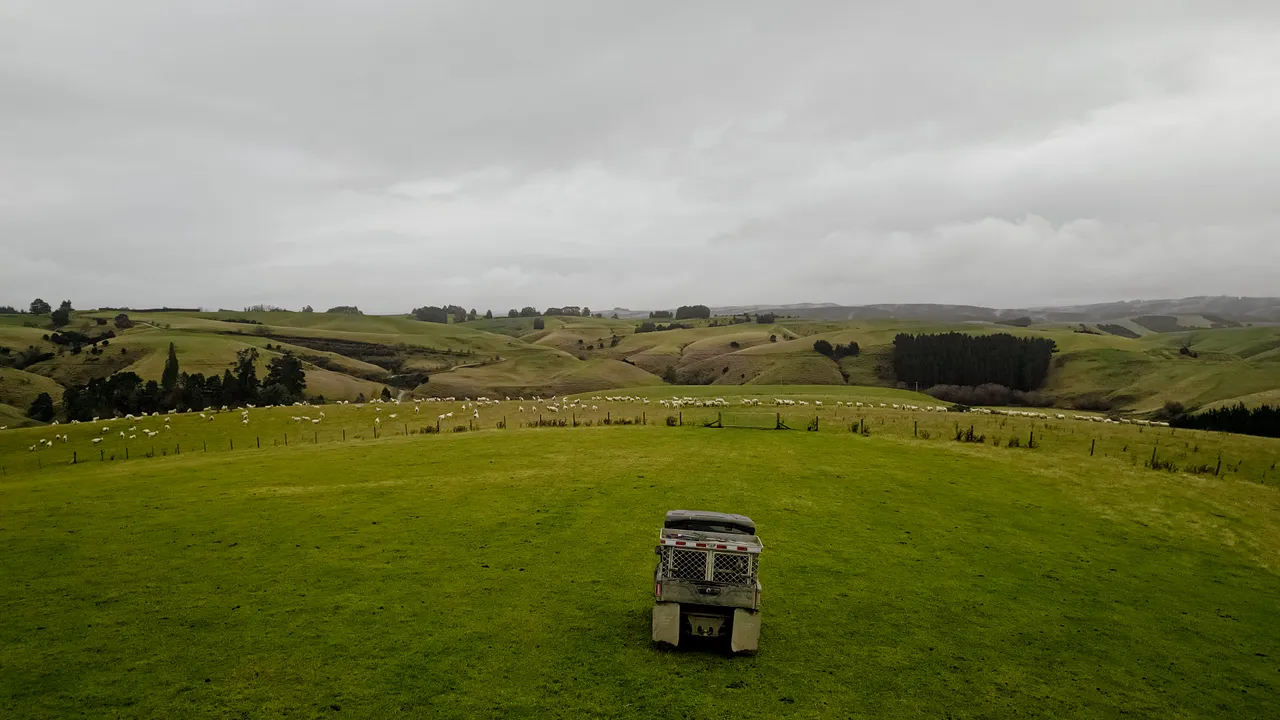 0624-Clutha-Sarahs-Farm-72