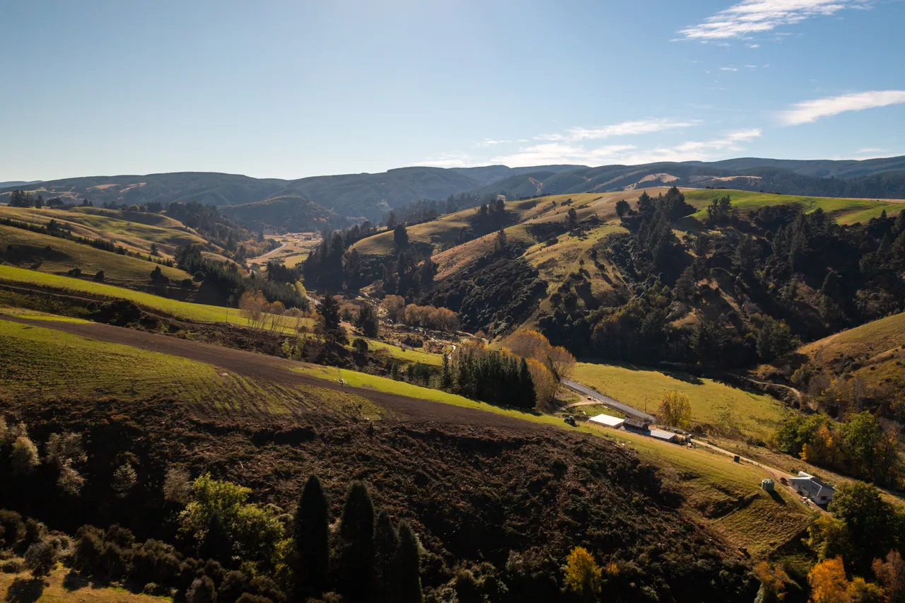Road and paddocks 