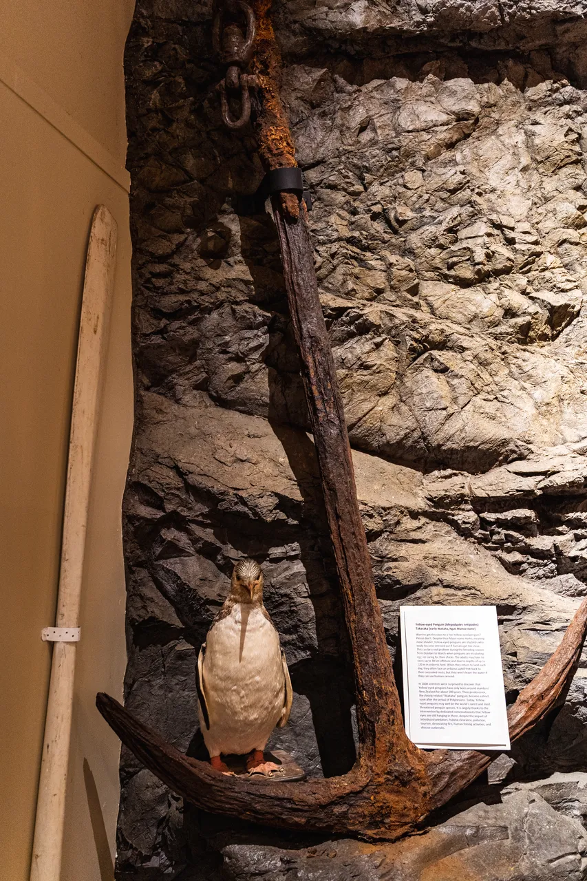 Museum display